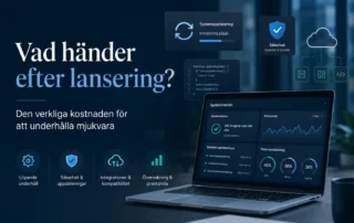 Vad händer efter lansering? Kostnaden för mjukvaruunderhåll